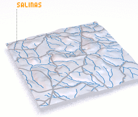 3d view of Salinas