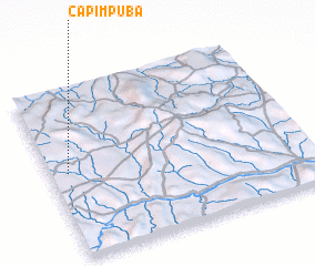 3d view of Capim Puba