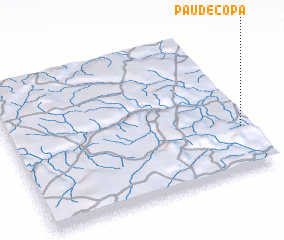 3d view of Pau de Copa