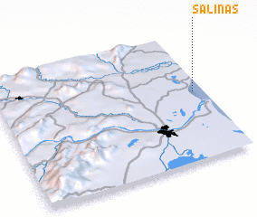 3d view of Salinas