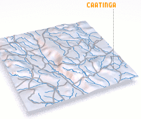 3d view of Caatinga