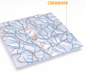 3d view of Caraibuna