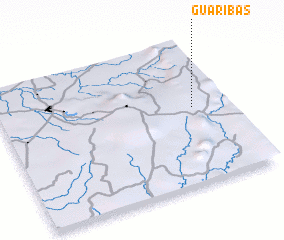 3d view of Guaribas