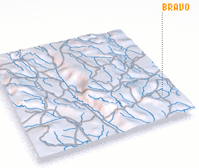 3d view of Bravo