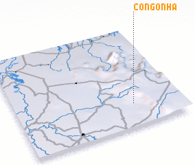 3d view of Congonha