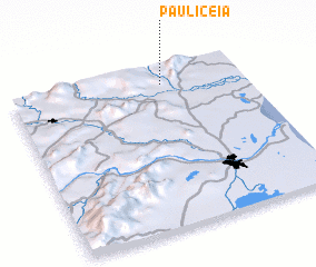 3d view of Paulicéia