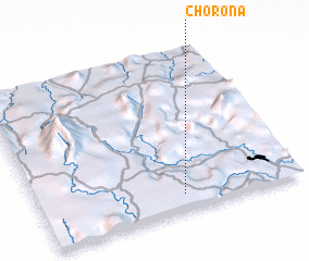 3d view of Chorona