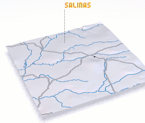 3d view of Salinas