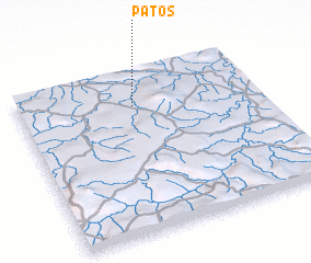 3d view of Patos