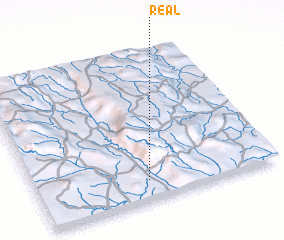 3d view of Real