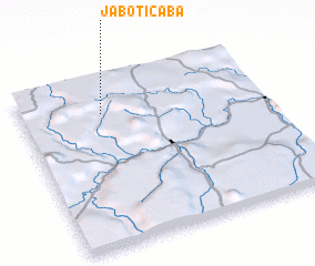 3d view of Jaboticaba