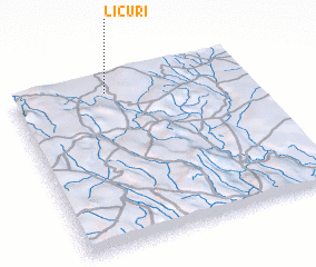 3d view of Licuri