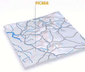 3d view of Picada