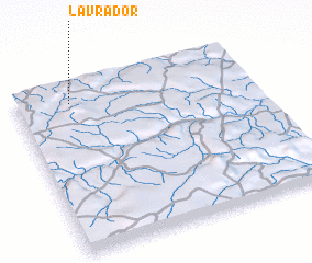 3d view of Lavrador