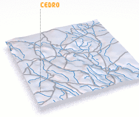 3d view of Cedro