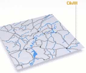 3d view of Cajuí