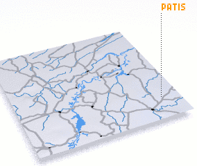 3d view of Patis