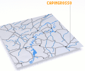 3d view of Capim Grosso