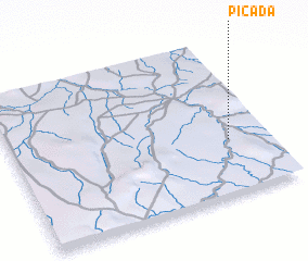 3d view of Picada