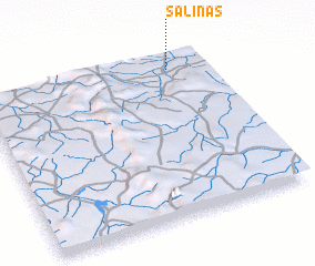 3d view of Salinas