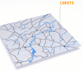 3d view of Capote