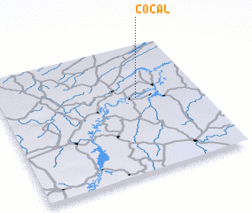 3d view of Cocal