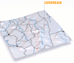 3d view of Samambaia