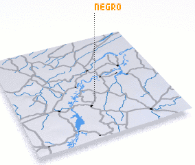 3d view of Negro