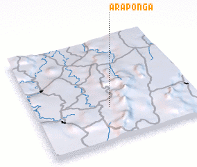 3d view of Araponga