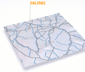 3d view of Salinas