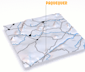 3d view of Paquequer