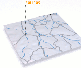 3d view of Salinas