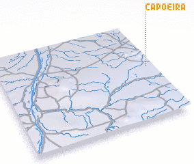 3d view of Capoeira
