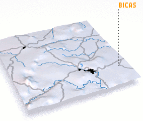 3d view of Bicas