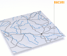 3d view of Bacuri