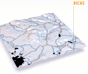 3d view of Bicas