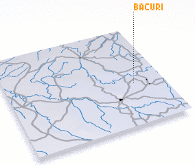 3d view of Bacuri