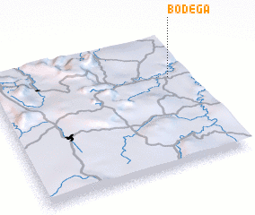 3d view of Bodega