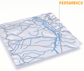 3d view of Pernambuco