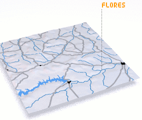 3d view of Flores