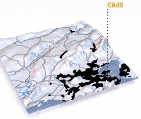 3d view of Caju