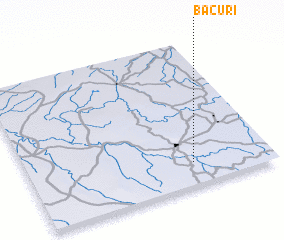 3d view of Bacuri