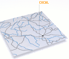 3d view of Cocal