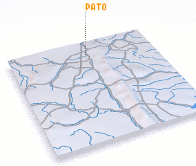 3d view of Pato