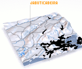 3d view of Jabuticabeira