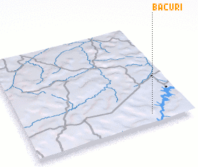 3d view of Bacuri