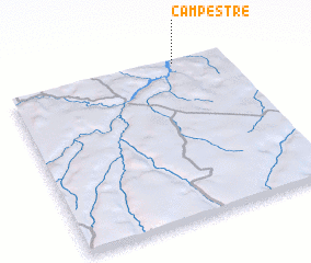 3d view of Campestre