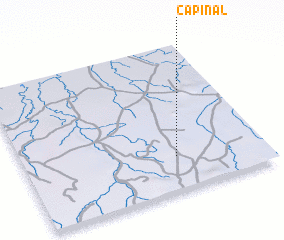 3d view of Capinal
