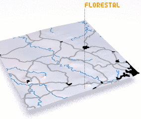 3d view of Florestal