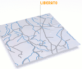 3d view of Liberato